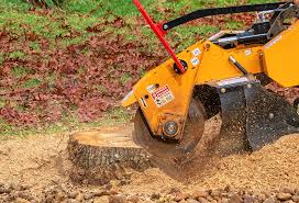 Best Lawn Mowing  in Murrysville, PA
